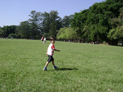 Campos de Experiência